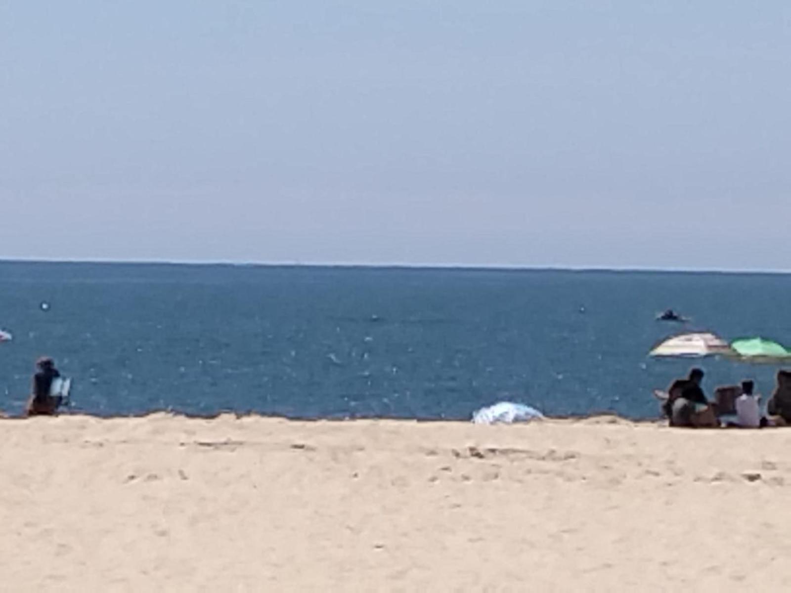 Bungalow Martins Nazare Land'S Hause Pataias Bagian luar foto