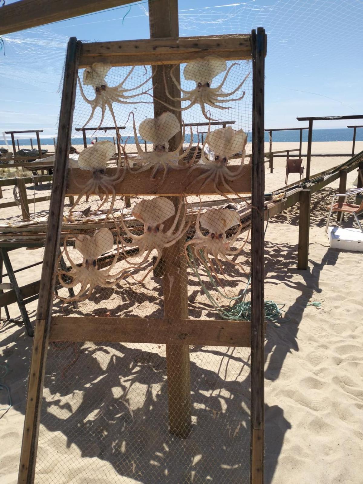 Bungalow Martins Nazare Land'S Hause Pataias Bagian luar foto